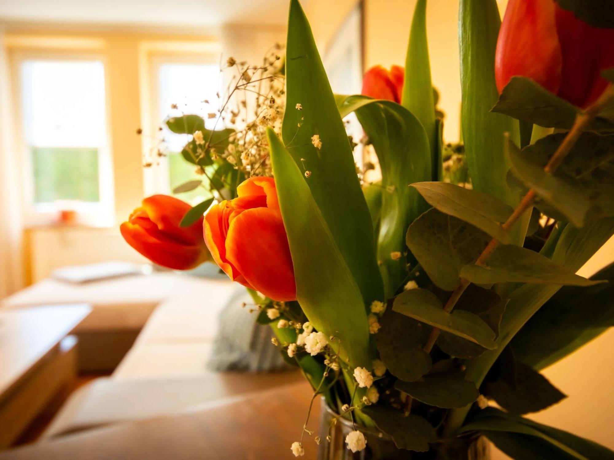 Lügde Holiday Home Mia By Interhome מראה חיצוני תמונה